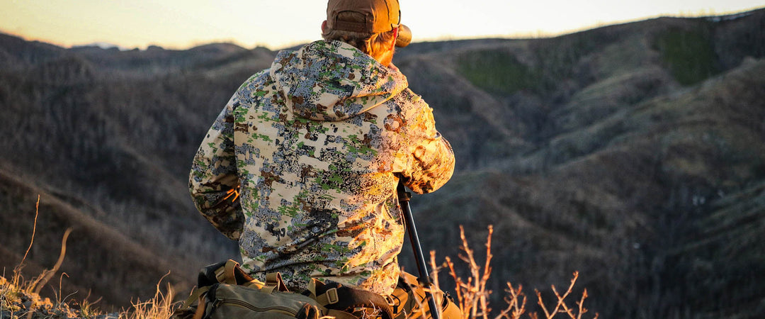 Top 5 Mule Deer Hunting Tips For Success