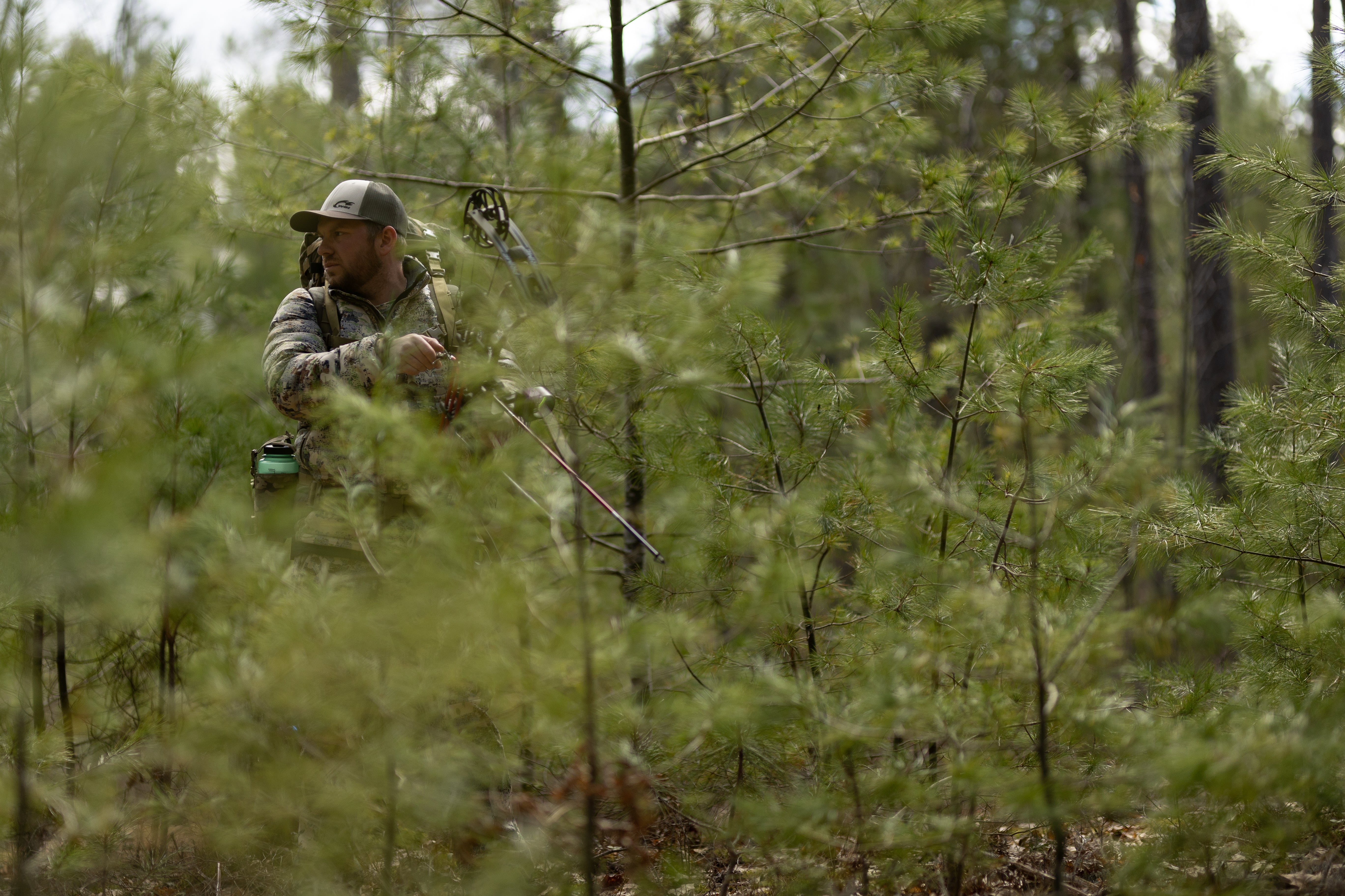 When Should a Hunter Wear a Fall Arrest System?