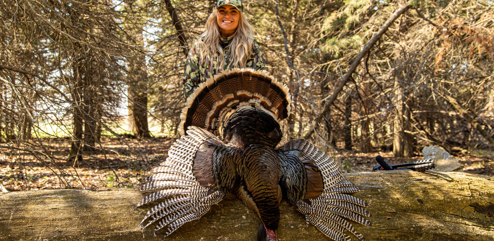 the call of turkey hunting