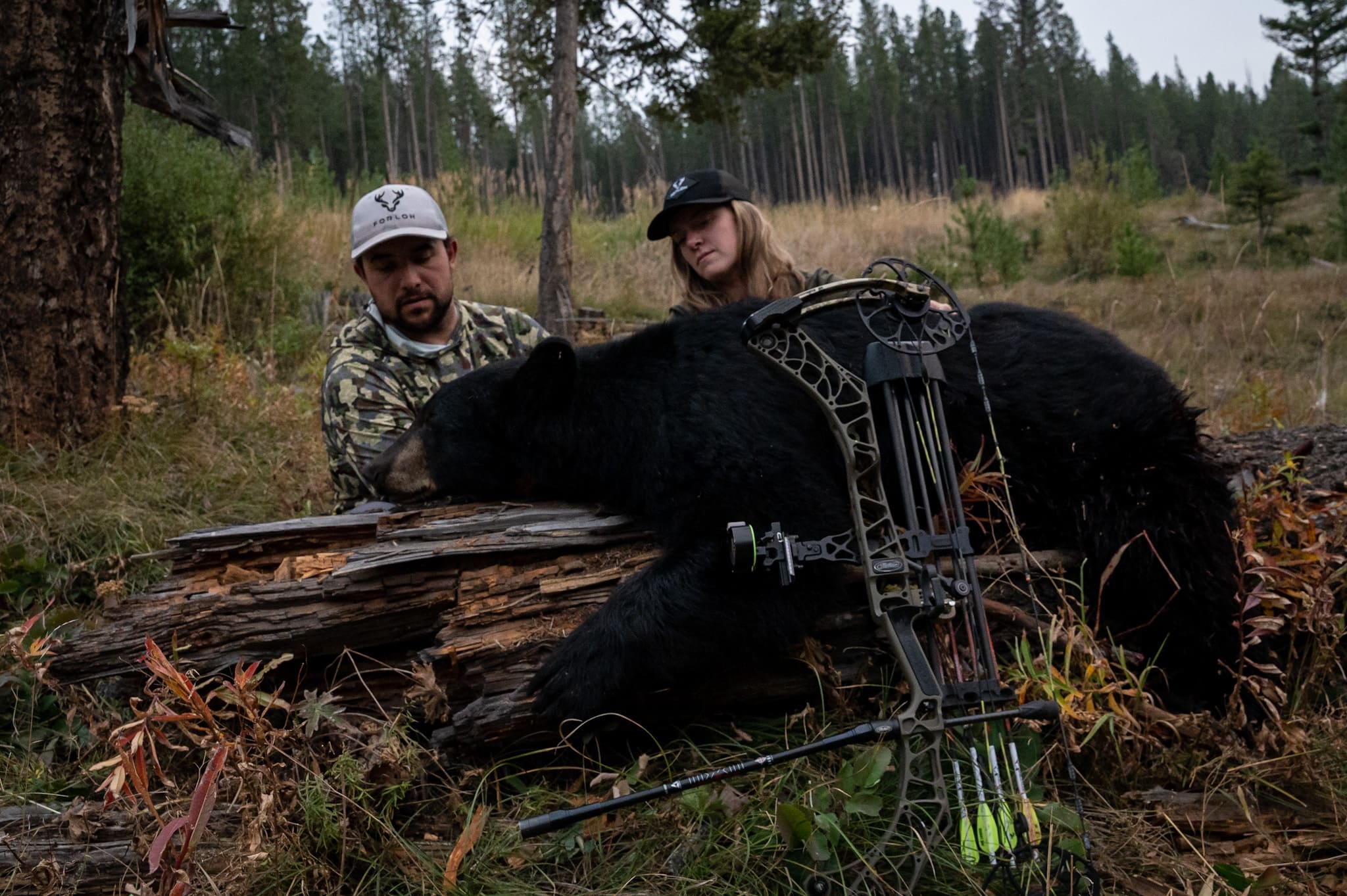 Fall Bear Hunting Essentials