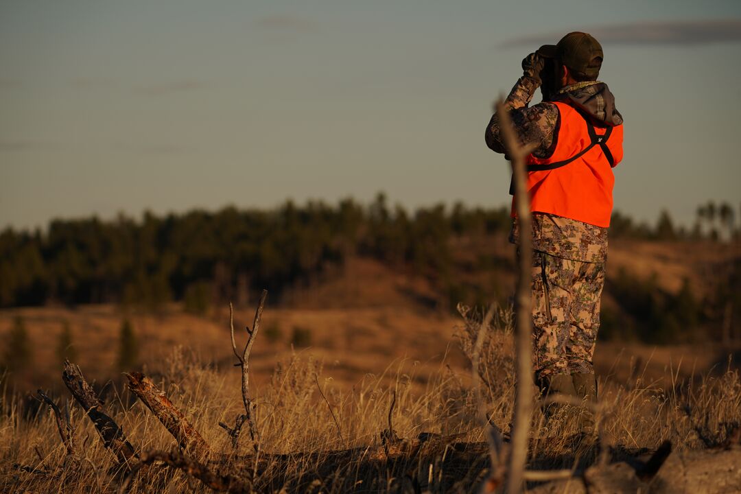Where to Hunt: The Best States for Hunting 