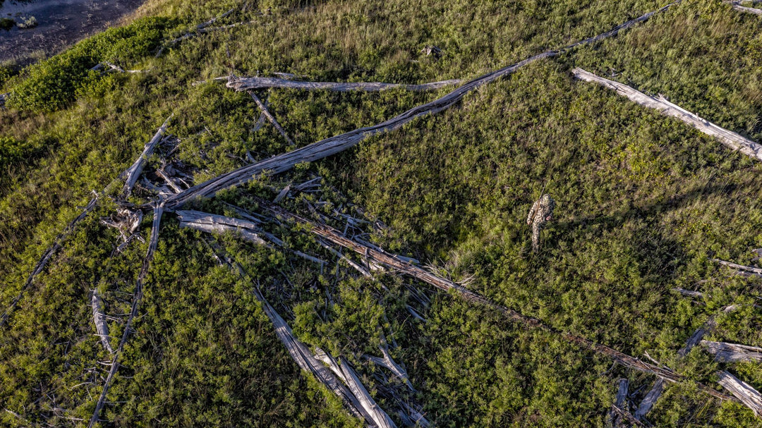 As Fall Approaches, Hunters Adapt to the Effects of COVID